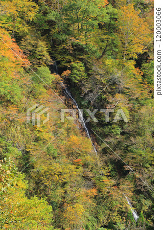 秋天的秋山鄉、秋葉和瀑布 120003066