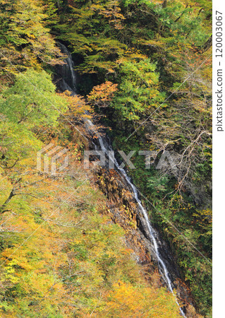 Autumn in Akiyamago: Fall Foliage and Waterfalls 120003067
