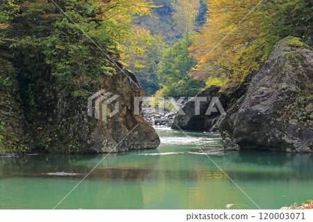 Autumn in Akiyamago Nakatsugawa Valley under the Sarutobi Bridge 120003071