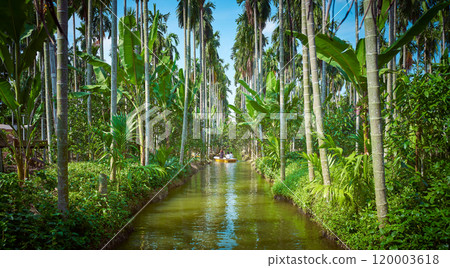 Asian family kayaking on the river in a beautiful place outside Bangkok with jungle-like environment. Asian family kayaking on the river in a beautiful place outside Bangkok with jungle-like environment. 120003618