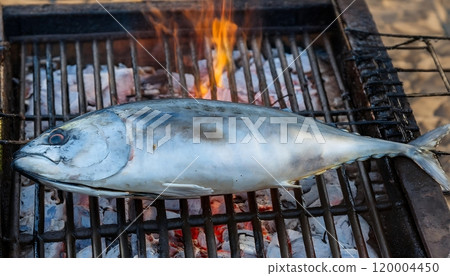 Whole fresh tuna grilled on a charcoal grill. 120004450