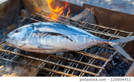 Whole fresh tuna grilled on a charcoal grill. Whole fresh tuna grilled on a charcoal grill. 120004451