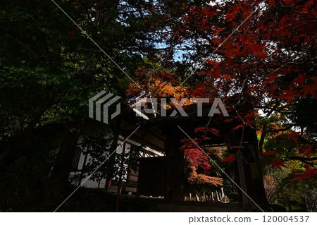 Autumn at Ankokuji Temple Autumn at Ankokuji Temple 120004537