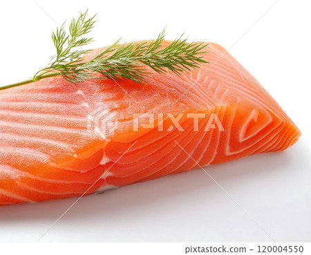 a fresh salmon fillet with a sprig a fresh salmon fillet with a sprig 120004550