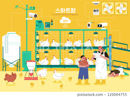 Herdsmen who manage chickens in automated remote control sheds 120004755