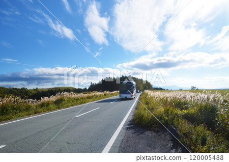 Autumn in Kuju Plateau, Prefectural Route 11 120005488
