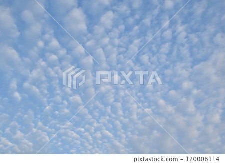 Autumn sky / autumn clouds Autumn sky / autumn clouds 120006114