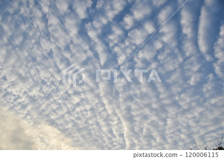Autumn sky / autumn clouds Autumn sky / autumn clouds 120006115