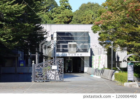 松戶市立館千葉縣松戶市千堀松戶市立50週年紀念21世紀森林廣場 松戶市立館千葉縣松戶市千堀松戶市立50週年紀念21世紀森林廣場 120006460