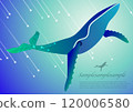 鯨魚 120006580
