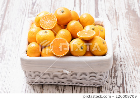 A basket full of fresh tangerines 120009709