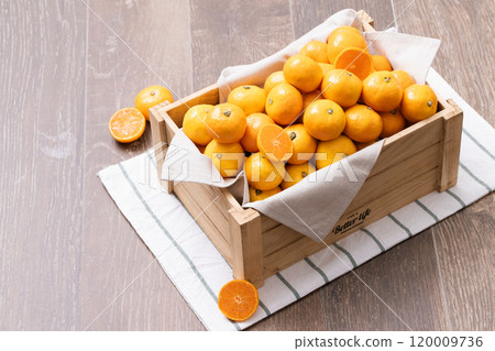 A box full of fresh tangerines A box full of fresh tangerines 120009736