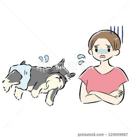 Illustration set of a dog in a diaper and a worried female owner 120009987