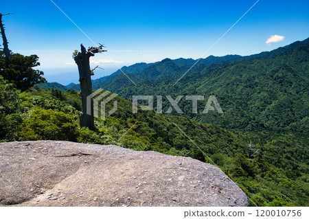 從屋久島太鼓岩眺望的景色 120010756