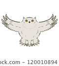 Shimous owl 120010894