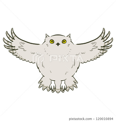 Shimous owl Shimous owl 120010894