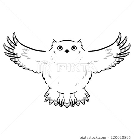 魚貓頭鷹單聲道 120010895