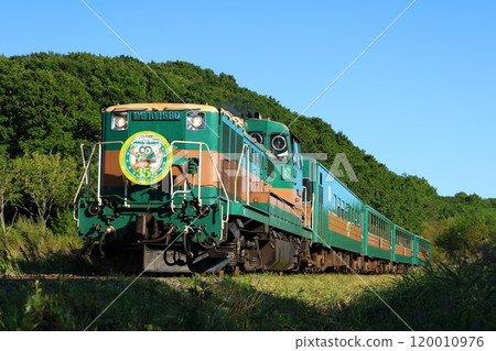 [JR Hokkaido] DE10 + 510 series "Kushiro Marsh Norokko" ~35th anniversary~ (Kushiro-mo Main Line: Toya to Kushiro Marsh) 120010976