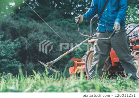 在田野裡割草 120011251