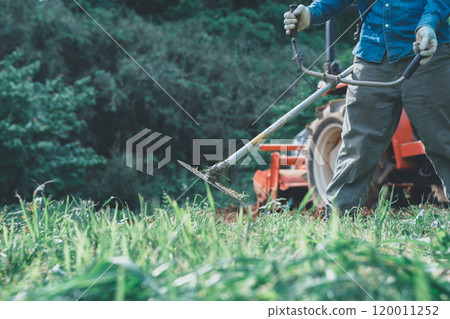 Mowing in fields Mowing in fields 120011252