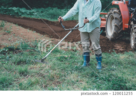 A woman cutting weeds around a field with a brush cutter 120011255