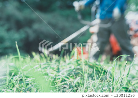 A man cutting weeds in a field with a weed trimmer 120011256