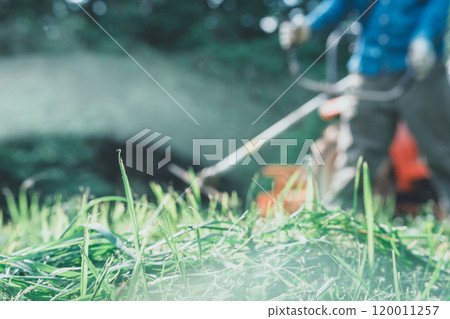 Man mowing the grass with a lawnmower Man mowing the grass with a lawnmower 120011257