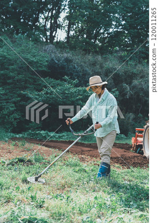 A woman cutting weeds around a field with a brush cutter A woman cutting weeds around a field with a brush cutter 120011265