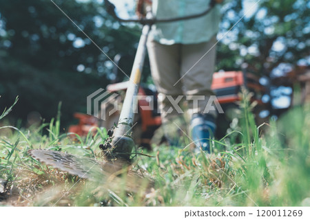 A woman cutting weeds around a field with a brush cutter A woman cutting weeds around a field with a brush cutter 120011269
