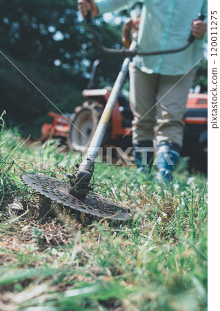 Brushcutter tipped saw 120011275