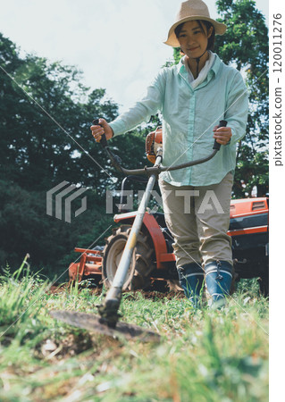 A woman cutting weeds around a field with a brush cutter 120011276