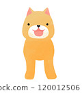 狗狗 120012506