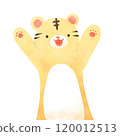 虎 120012513
