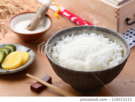 Tororo 米飯（新鮮煮熟的米飯和山藥搭配得很好） 120013213