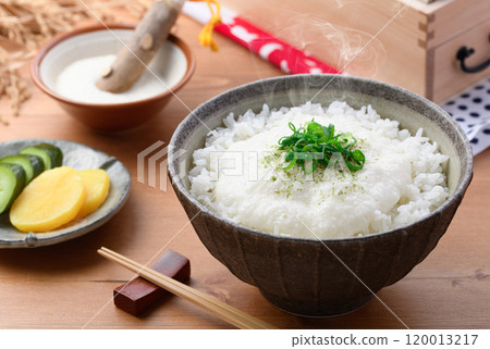 Tororo rice (freshly cooked rice and yam go great together) 120013217