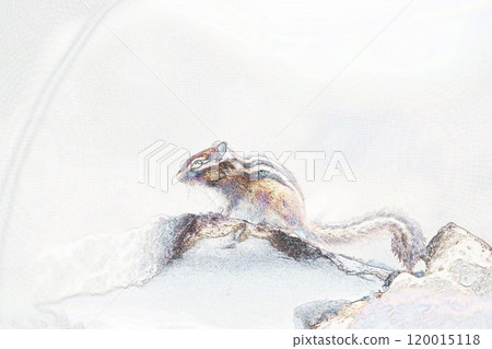 Pastel-toned "Chipmunk" "Small Animal" illustration image 120015118
