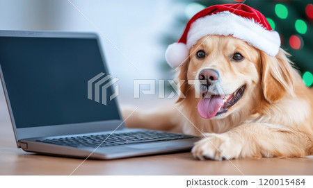 cheerful dog wearing Santa hat sits beside laptop, embodying festive spirit of Christmas. background features decorated tree, enhancing joyful atmosphere 120015484