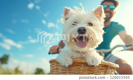 Happy dog in basket enjoying bike ride with smiling owner 120015505