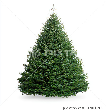 Lush green Christmas tree perfect for festive decorations and celebrations 120015919