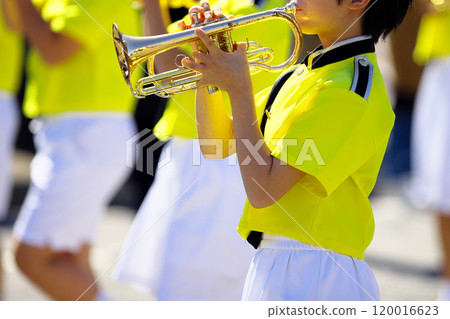 Marching band parade instruments Marching band parade instruments 120016623