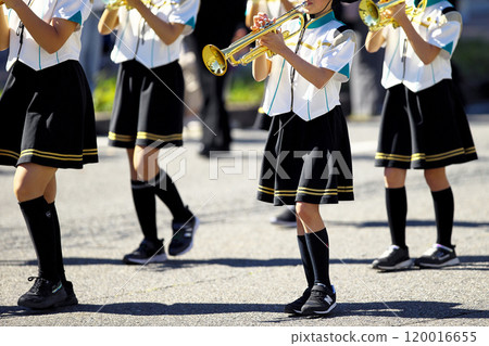 Marching band parade instruments Marching band parade instruments 120016655