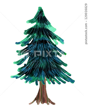 Trees like those in picture books: Conifers Trees like those in picture books: Conifers 120016829