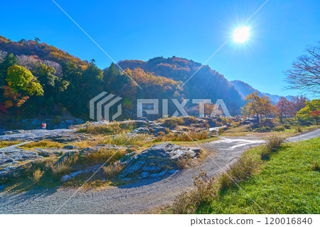 眺望埼玉縣長瀞町的岩數據地區,秋天的樹葉在早晨的逆光下閃閃發光。 眺望埼玉縣長瀞町的岩數據地區,秋天的樹葉在早晨的逆光下閃閃發光。 120016840