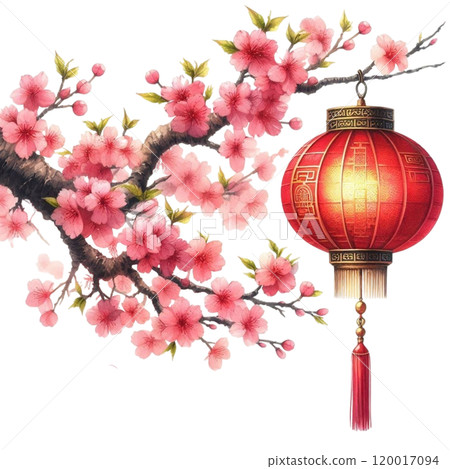Chinese lanterns with cherry blossoms Chinese lanterns with cherry blossoms 120017094