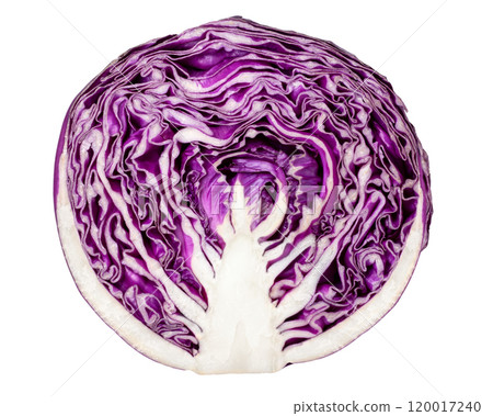 Purple cabbage cut in half 120017240
