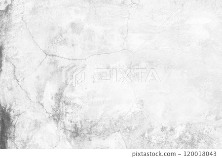 White Grunge Wall for Background. 120018043