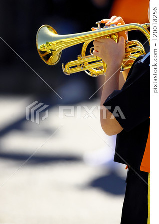 行進樂隊遊行樂器 120018256