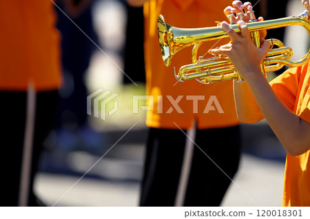 Marching band parade instruments Marching band parade instruments 120018301