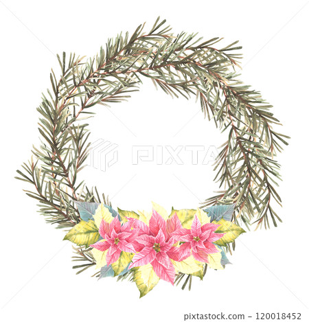 Christmas spruce branches evergreen advent wreath with red poinsettia flowers and burning white candle. Watercolor hand drawn illustration Circle template for festive card. Isolated from background. 120018452