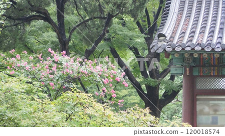 korea ancient palace korea ancient palace 120018574